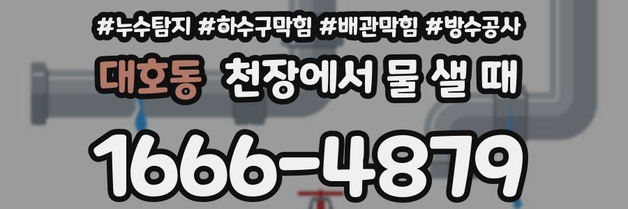 대호동 천장에서 물 샐 때