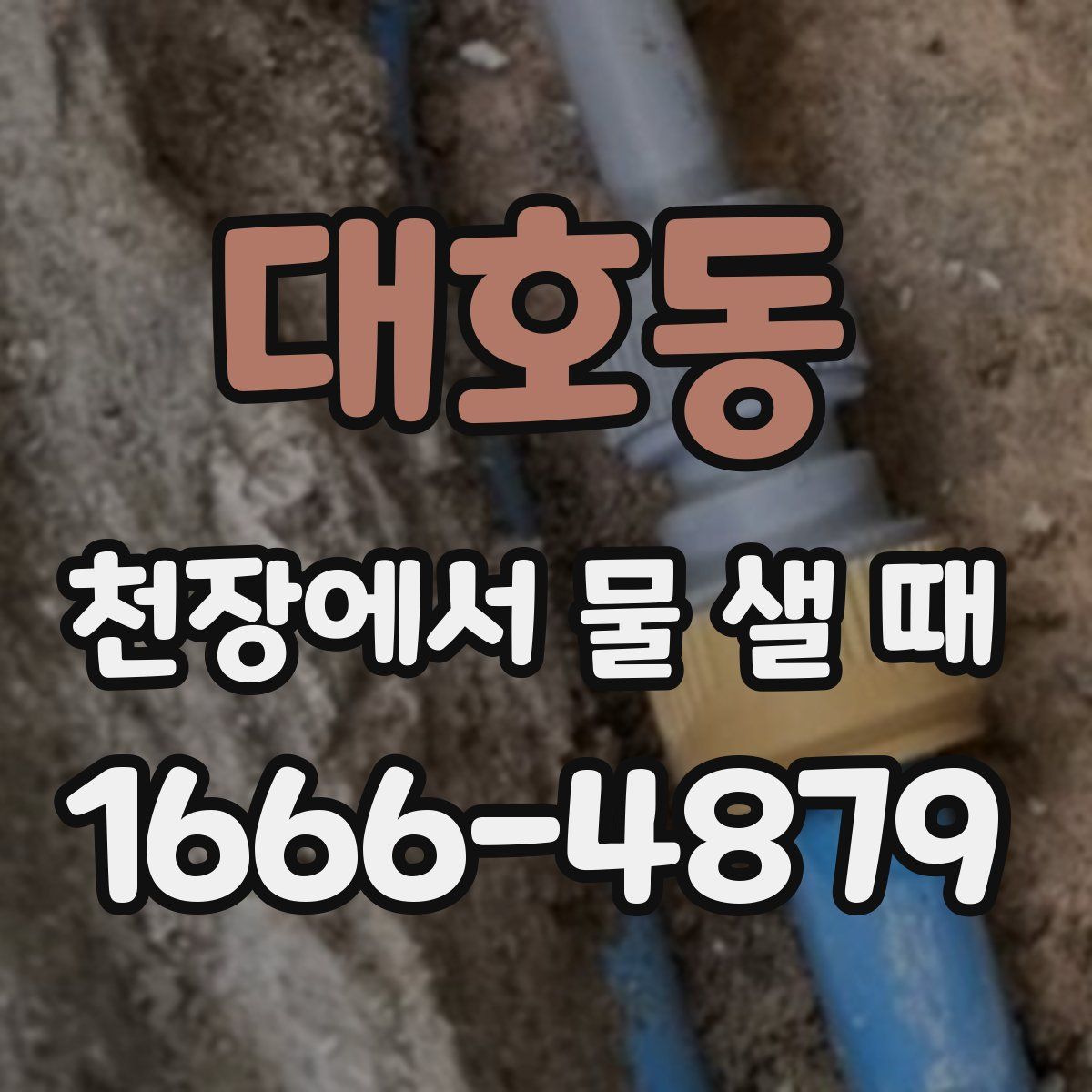 대호동 천장에서 물 샐 때