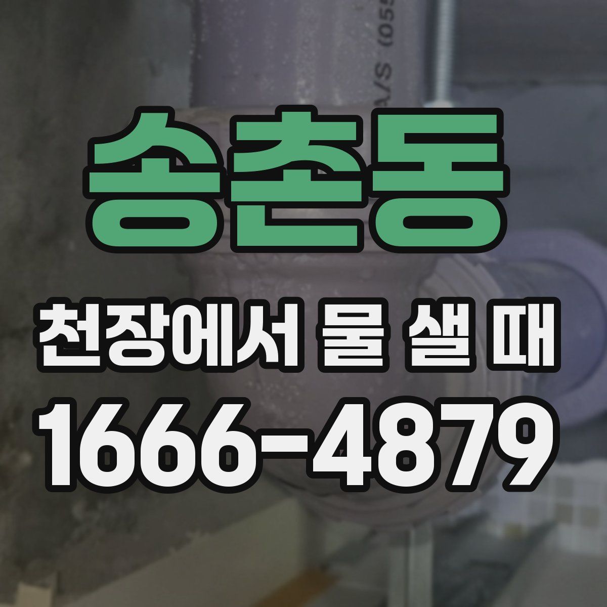 송촌동 천장에서 물 샐 때