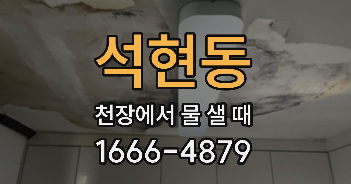 석현동 천장에서 물 샐 때