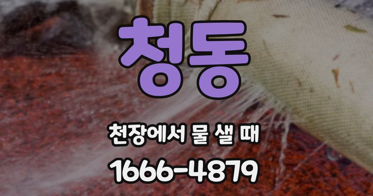 청동 천장에서 물 샐 때