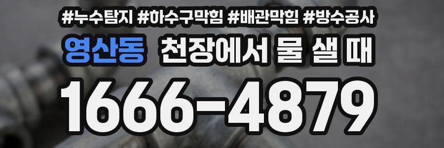 영산동 천장에서 물 샐 때