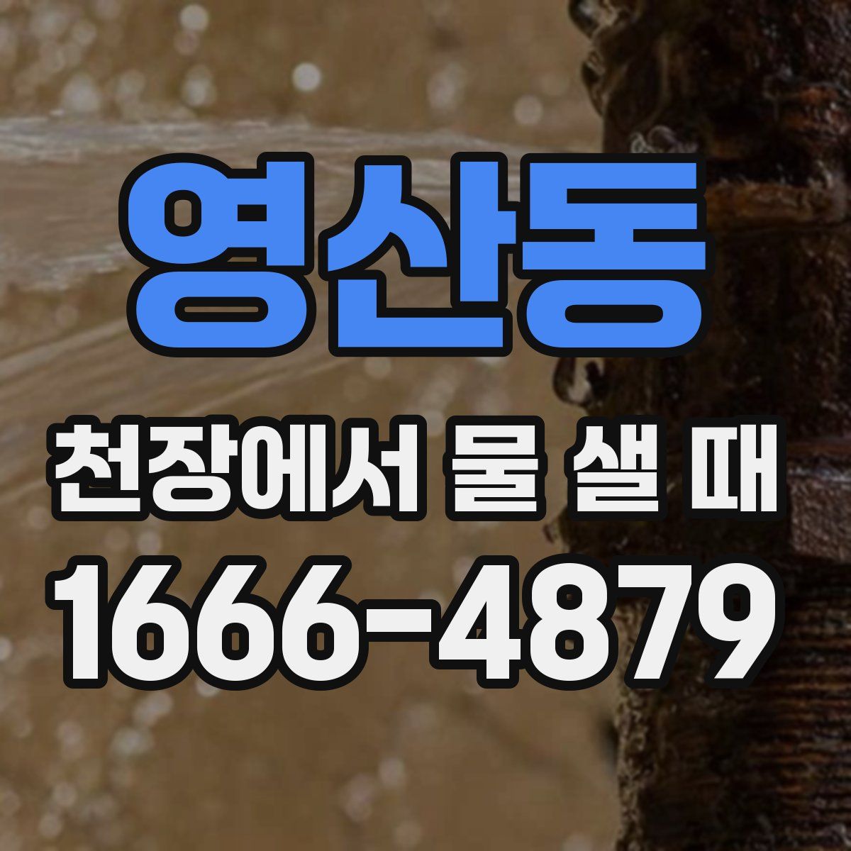 영산동 천장에서 물 샐 때
