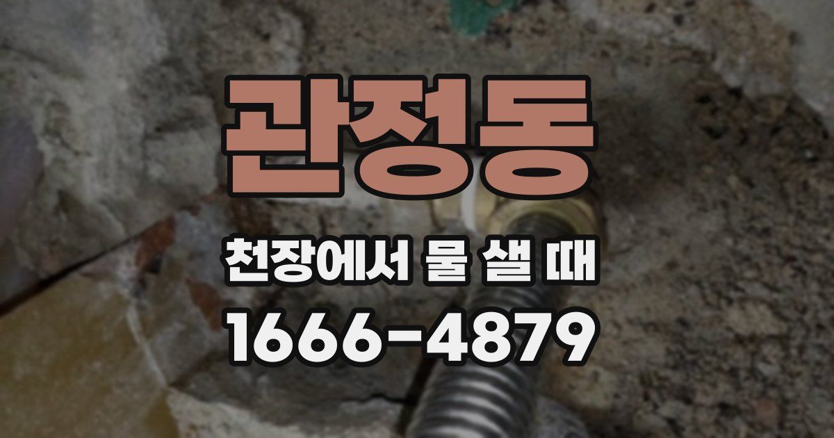 관정동 천장에서 물 샐 때