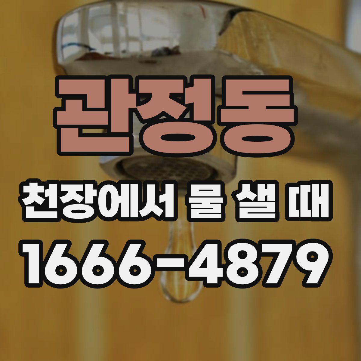 관정동 천장에서 물 샐 때