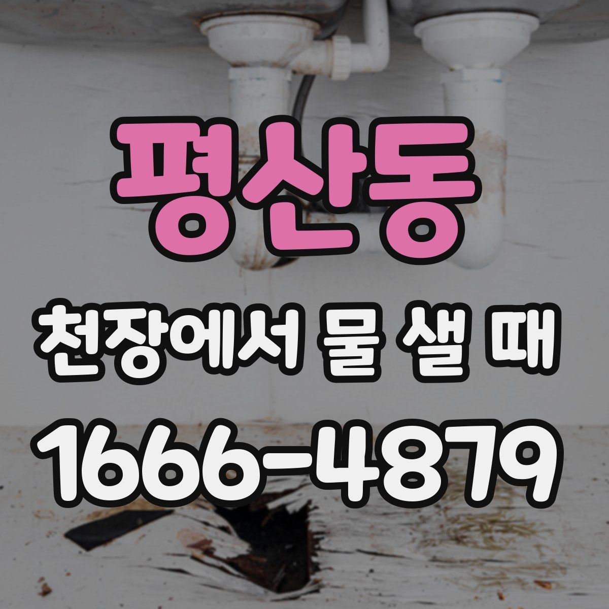 평산동 천장에서 물 샐 때