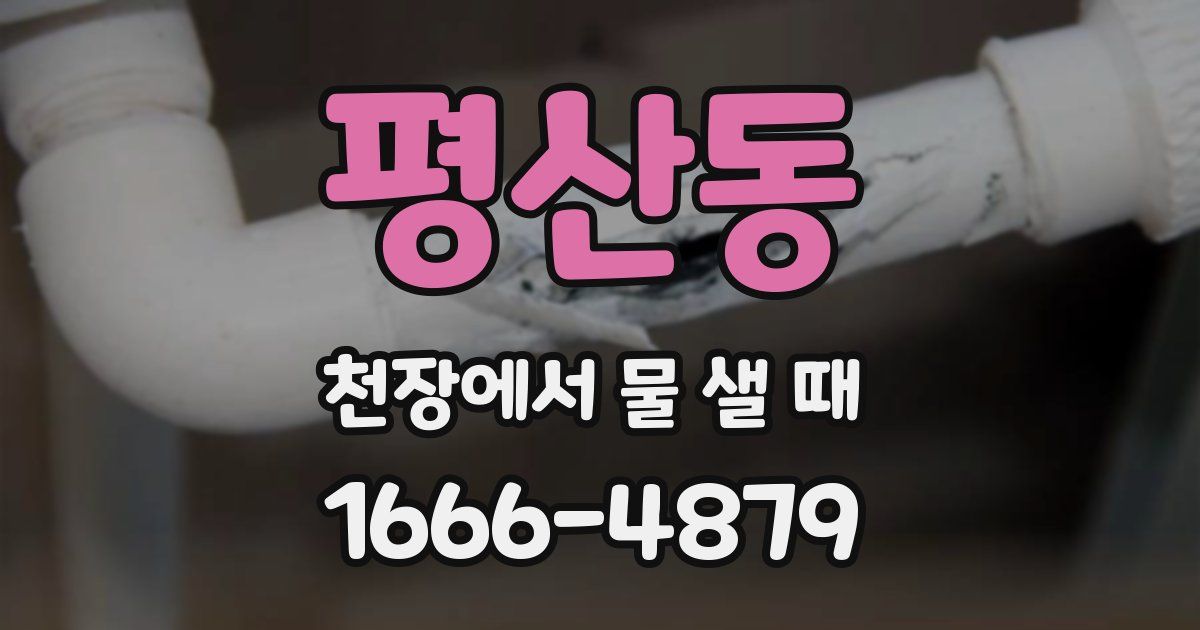 평산동 천장에서 물 샐 때