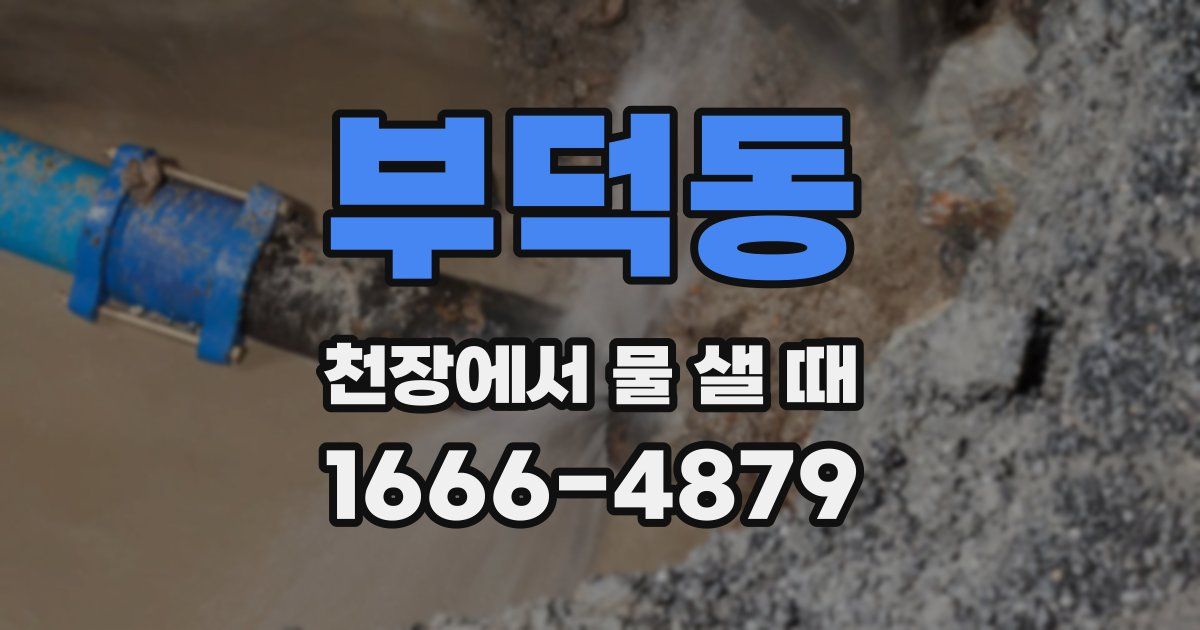 부덕동 천장에서 물 샐 때