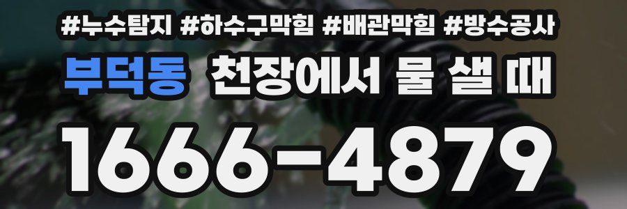 부덕동 천장에서 물 샐 때