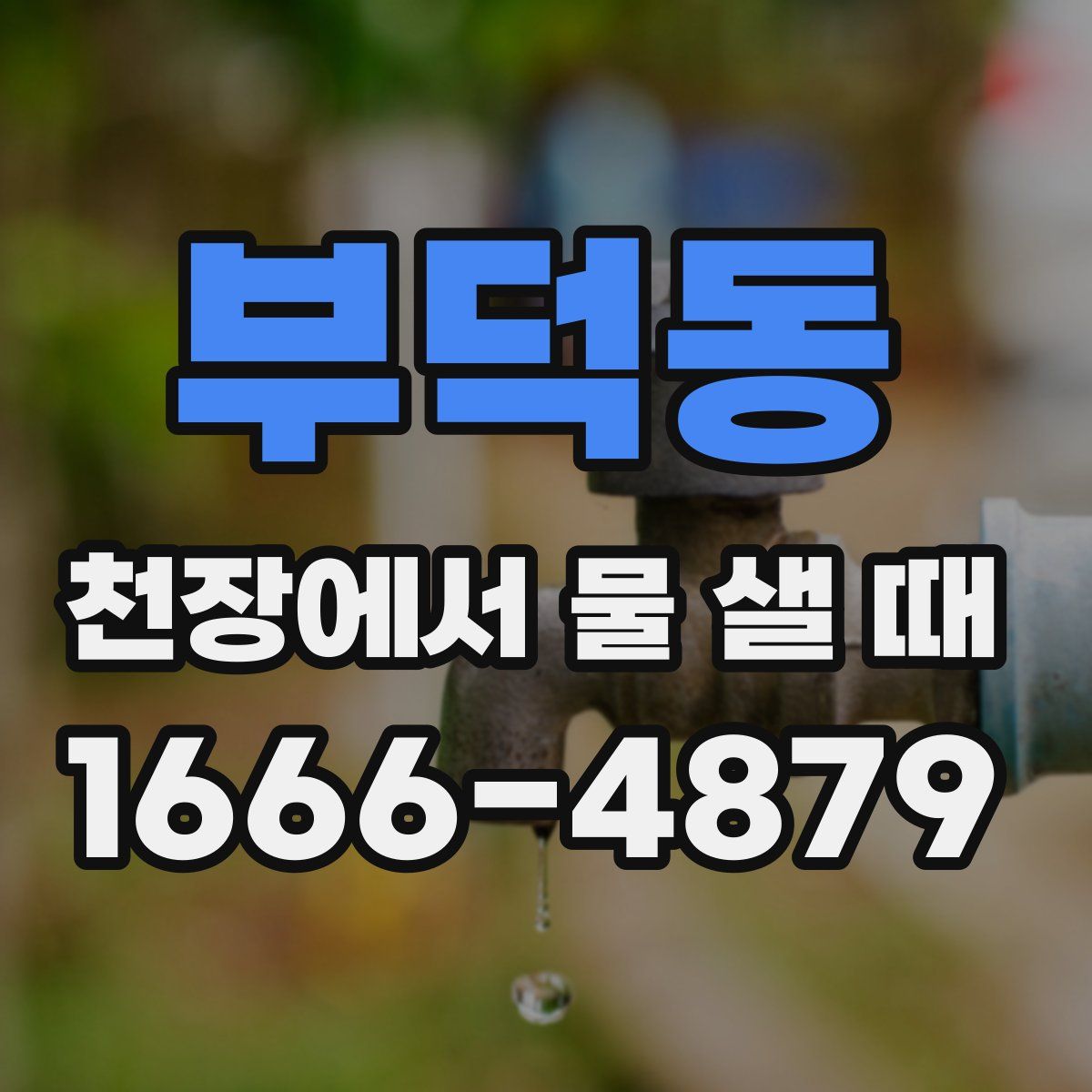 부덕동 천장에서 물 샐 때