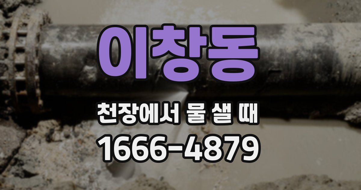 이창동 천장에서 물 샐 때