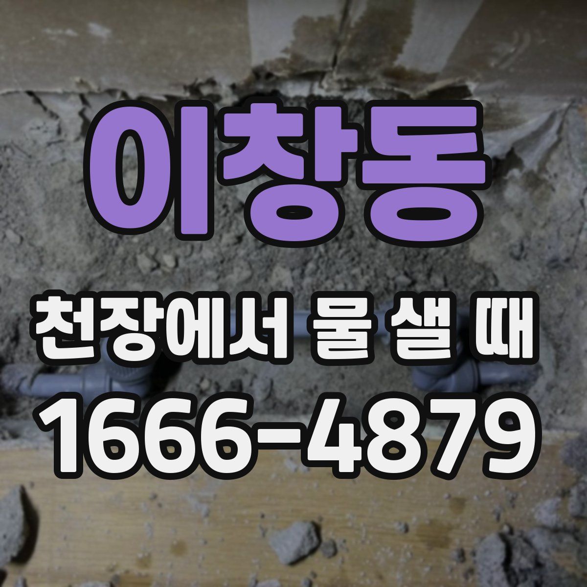 이창동 천장에서 물 샐 때