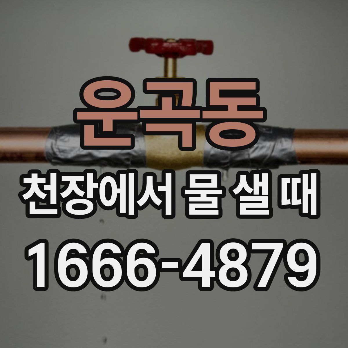 운곡동 천장에서 물 샐 때