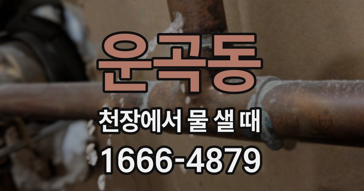 운곡동 천장에서 물 샐 때