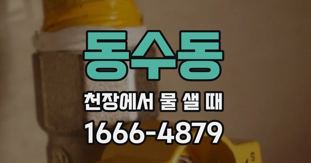 동수동 천장에서 물 샐 때