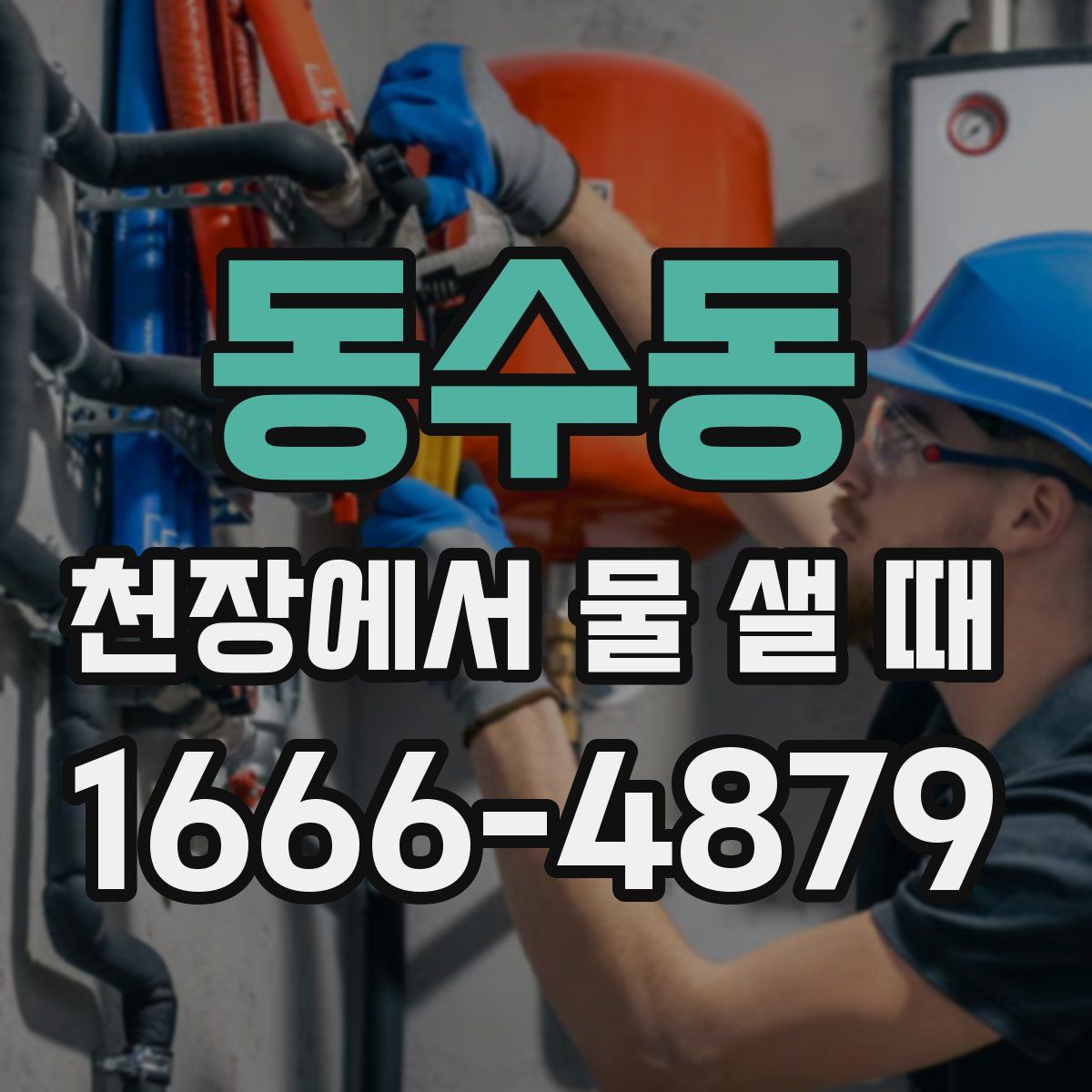동수동 천장에서 물 샐 때