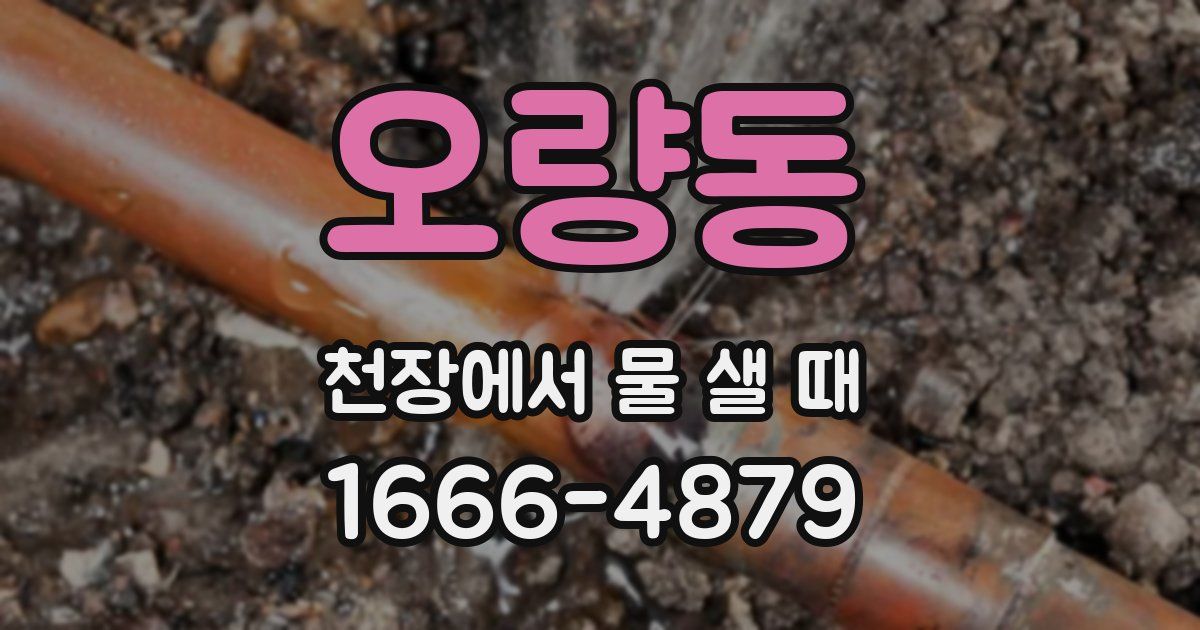 오량동 천장에서 물 샐 때