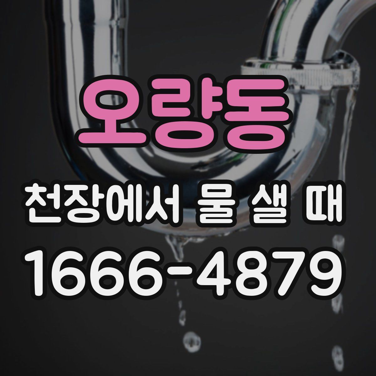 오량동 천장에서 물 샐 때
