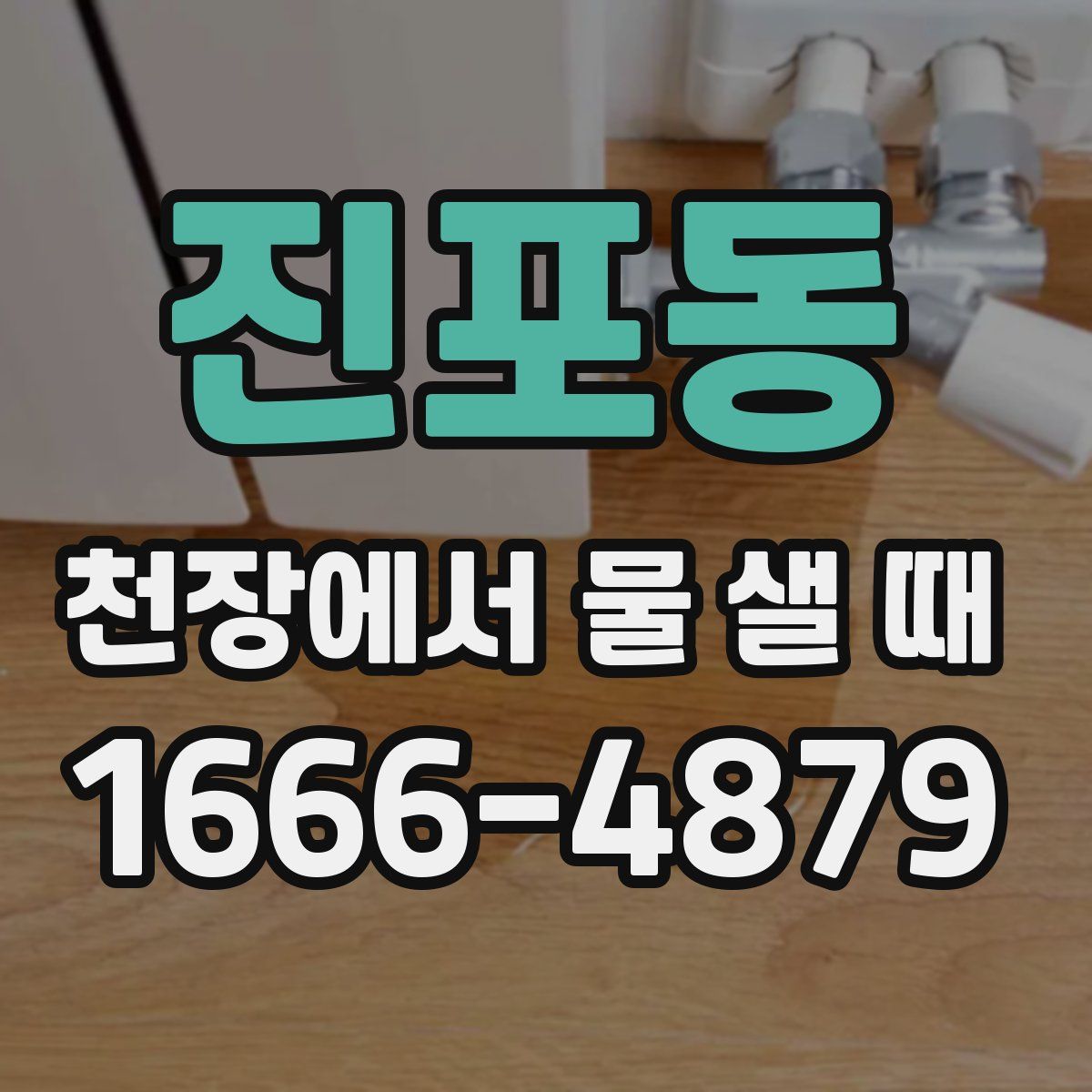 진포동 천장에서 물 샐 때
