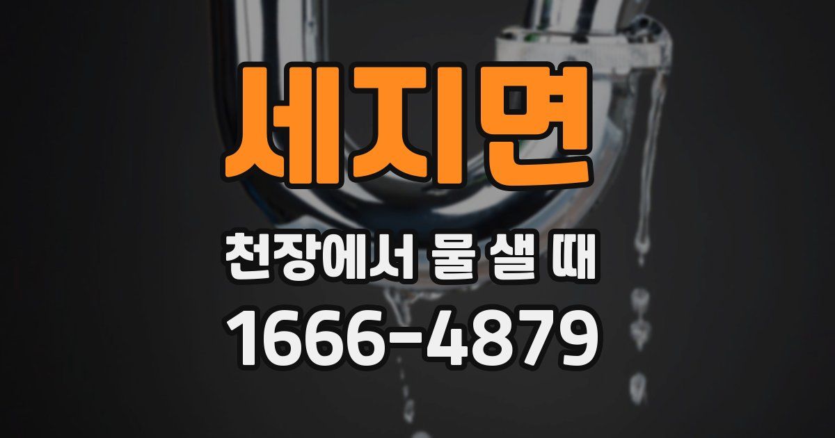 세지면 천장에서 물 샐 때