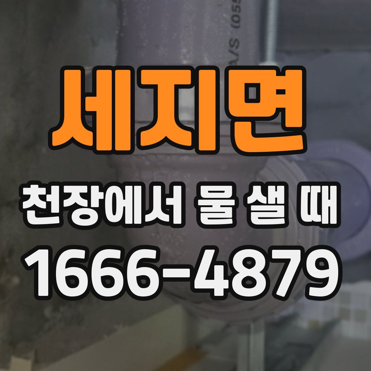 세지면 천장에서 물 샐 때