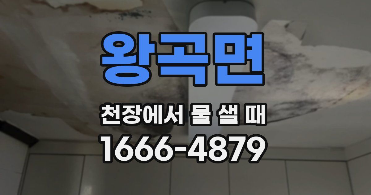 왕곡면 천장에서 물 샐 때