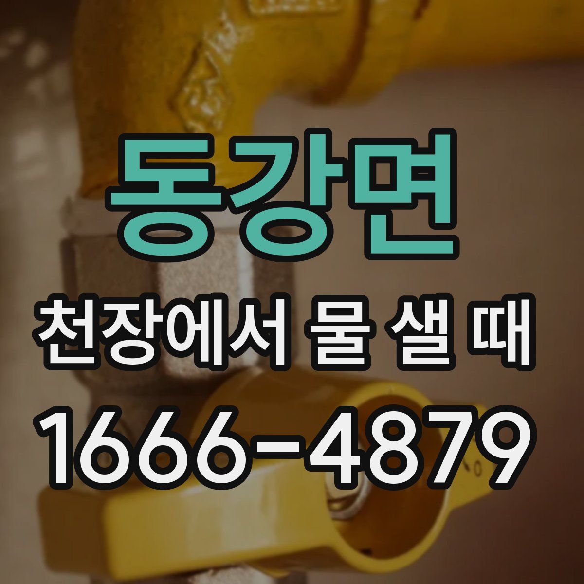 동강면 천장에서 물 샐 때