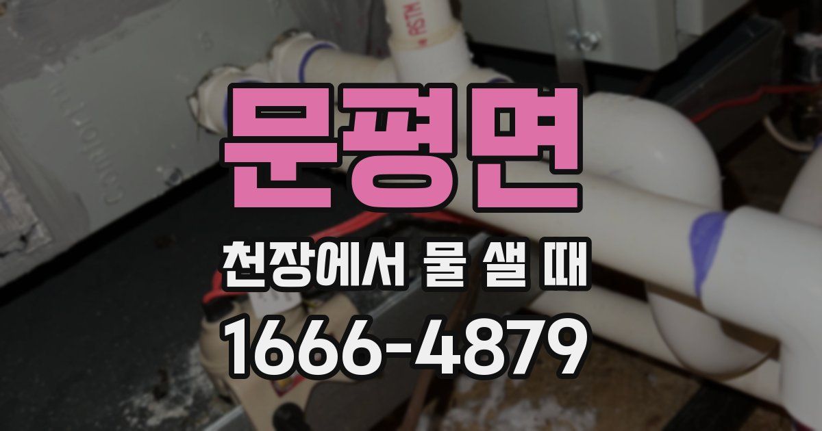 문평면 천장에서 물 샐 때