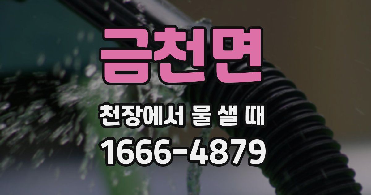 금천면 천장에서 물 샐 때
