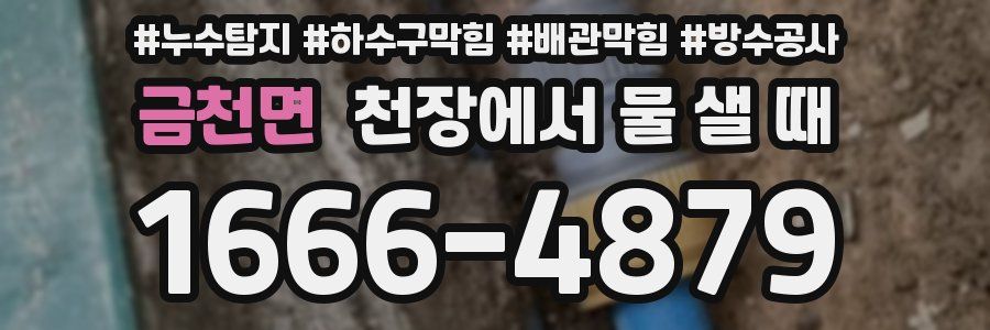 금천면 천장에서 물 샐 때