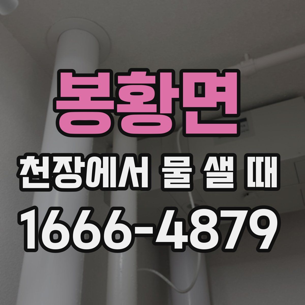 봉황면 천장에서 물 샐 때