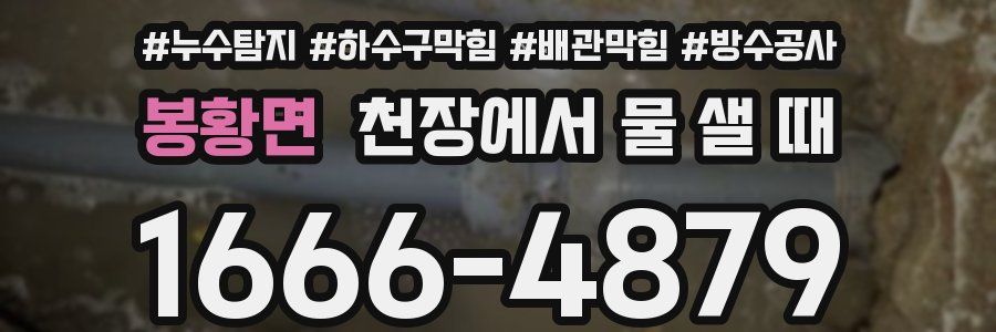 봉황면 천장에서 물 샐 때