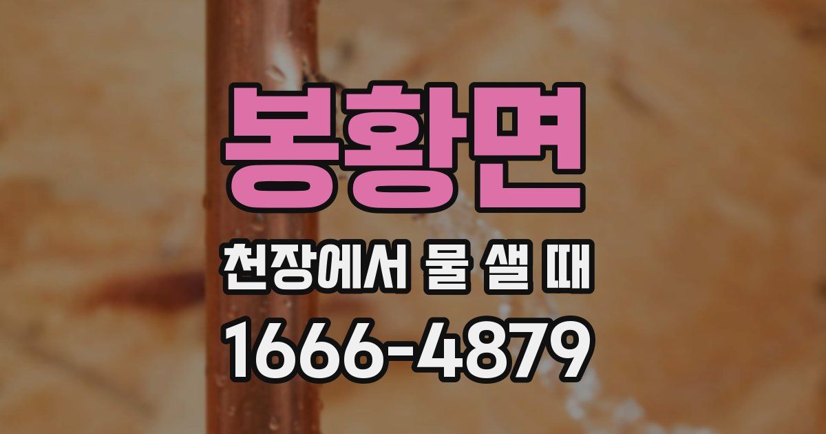 봉황면 천장에서 물 샐 때