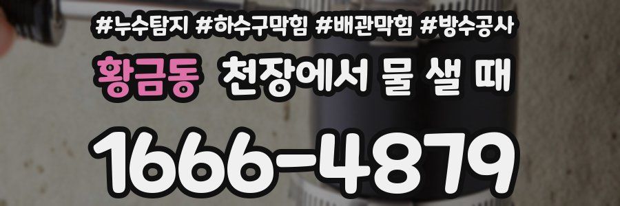황금동 천장에서 물 샐 때