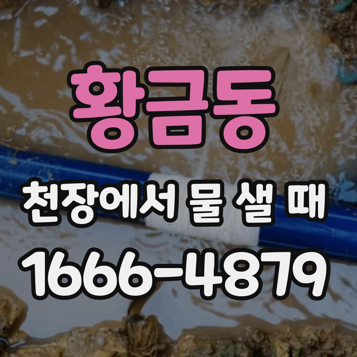 황금동 천장에서 물 샐 때