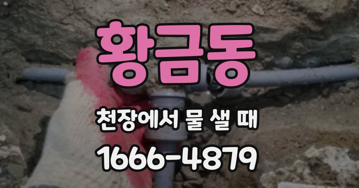 황금동 천장에서 물 샐 때
