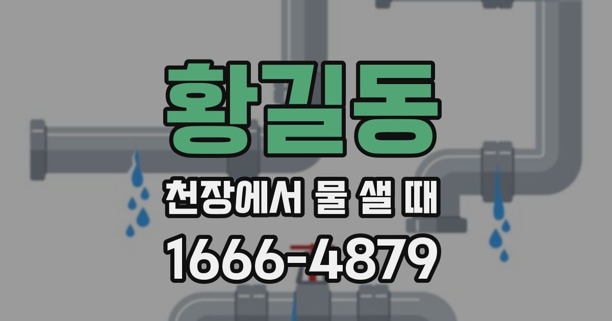 황길동 천장에서 물 샐 때