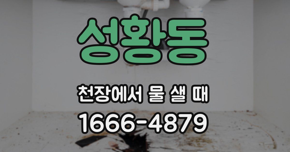 성황동 천장에서 물 샐 때