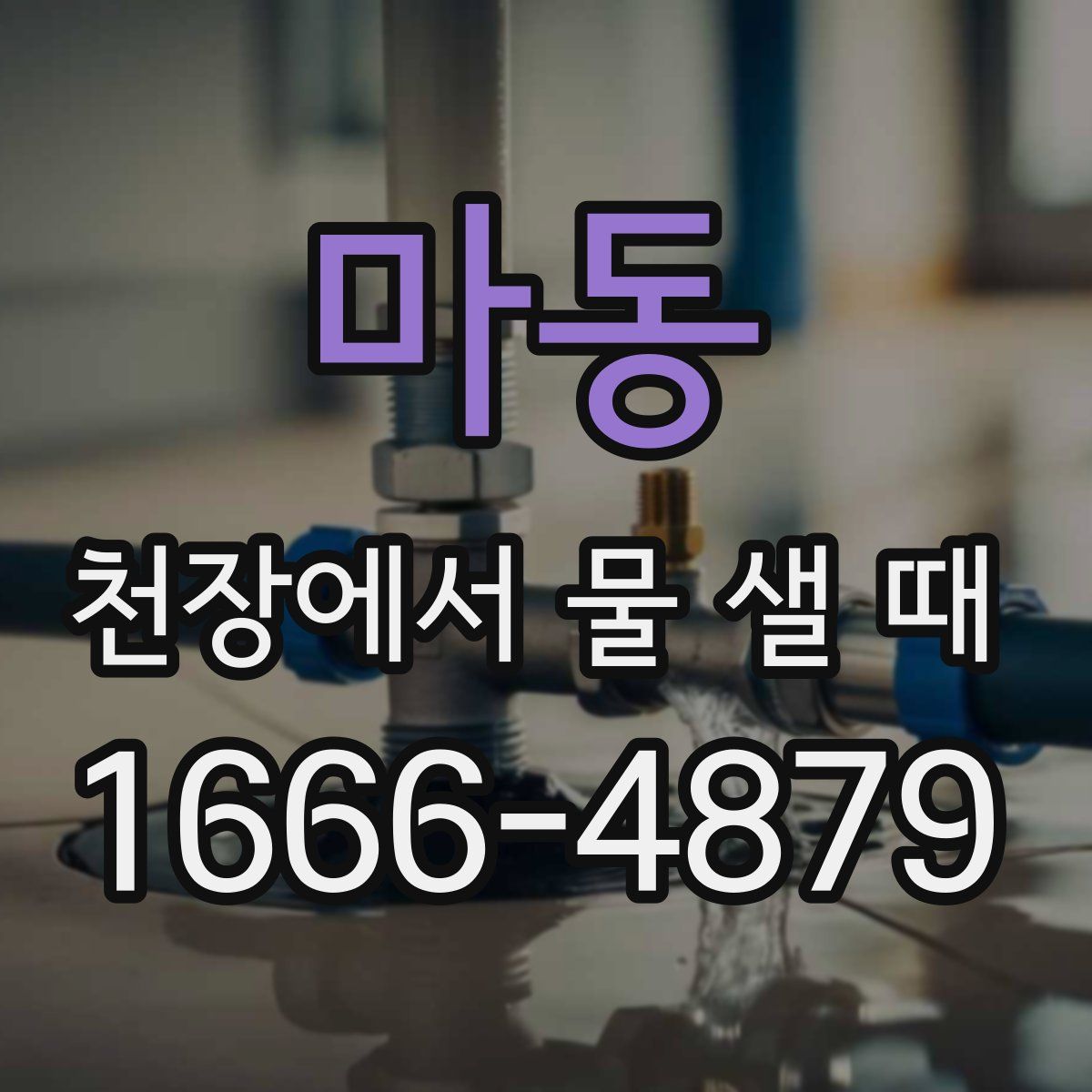 마동 천장에서 물 샐 때