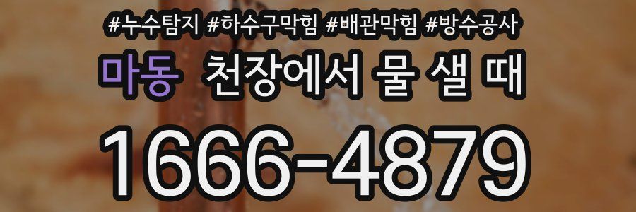 마동 천장에서 물 샐 때