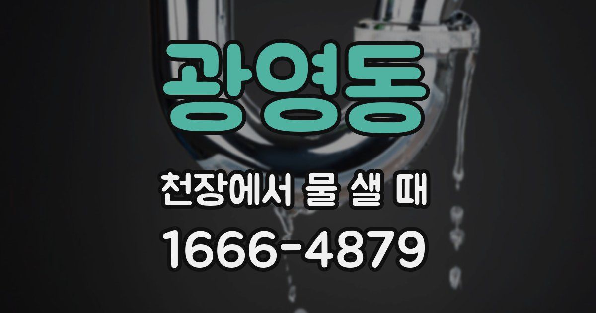 광영동 천장에서 물 샐 때