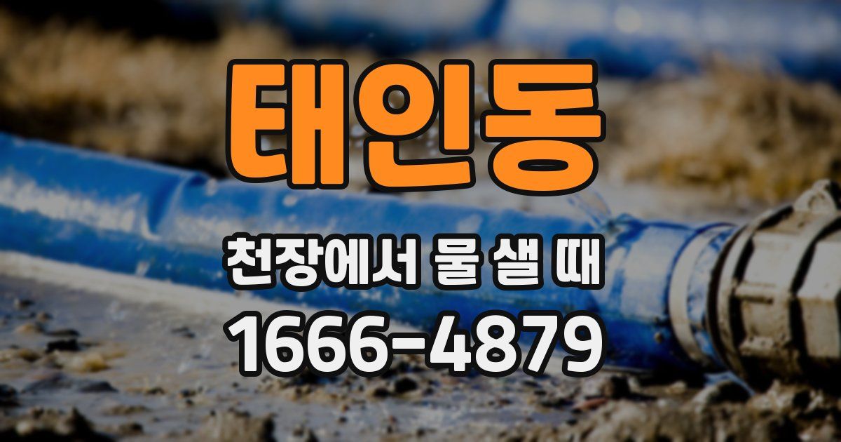 태인동 천장에서 물 샐 때