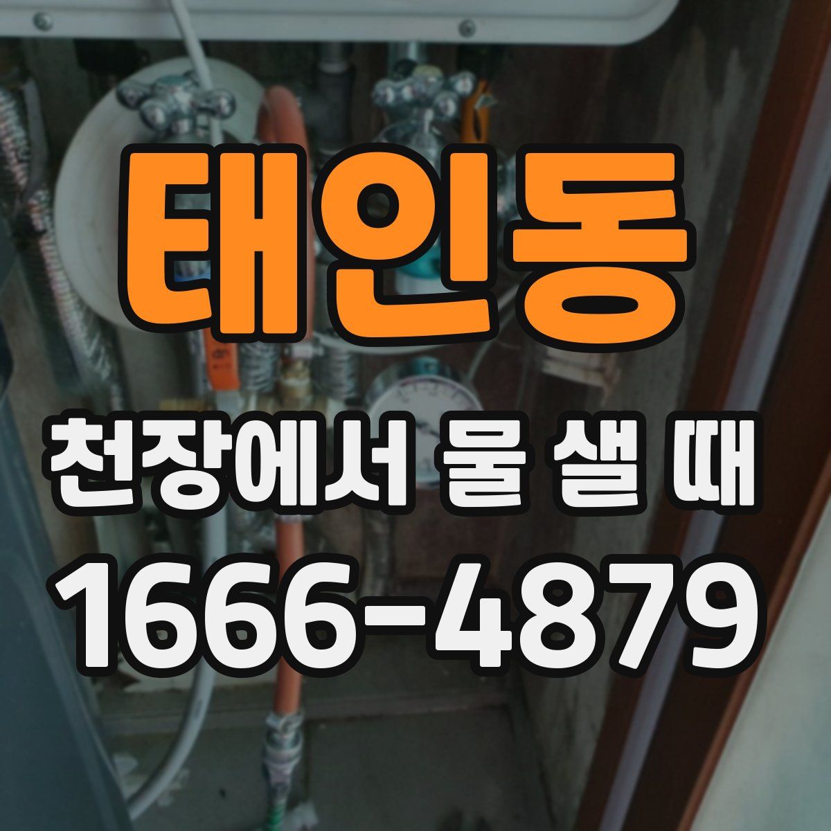태인동 천장에서 물 샐 때