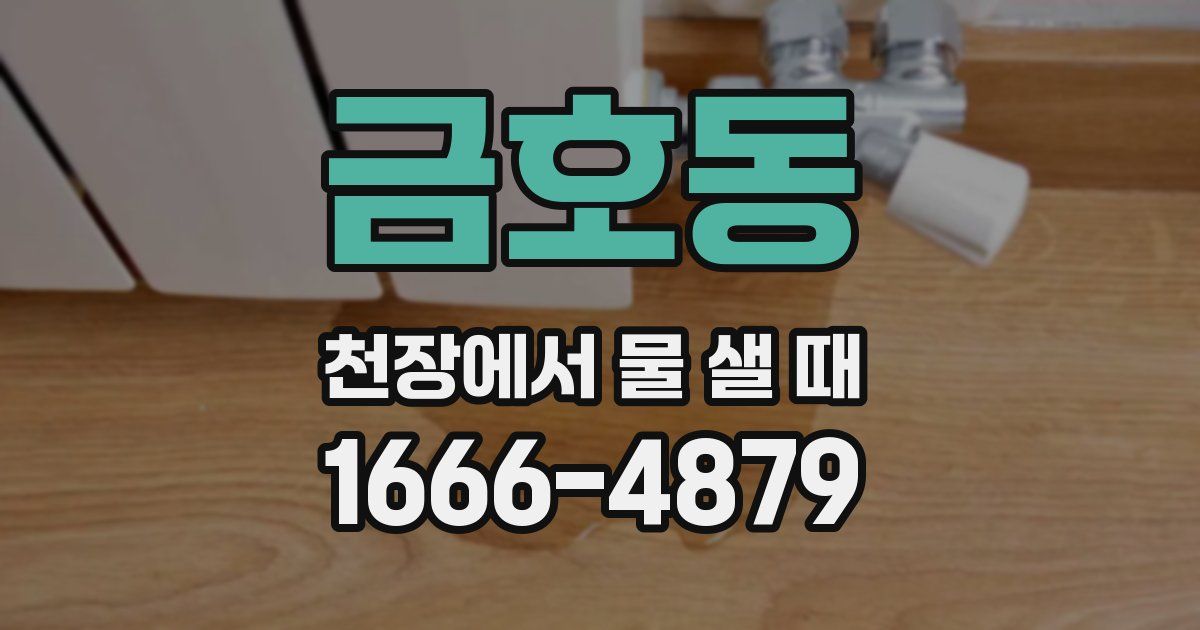금호동 천장에서 물 샐 때