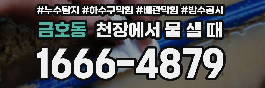 금호동 천장에서 물 샐 때