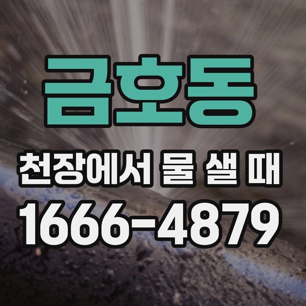 금호동 천장에서 물 샐 때
