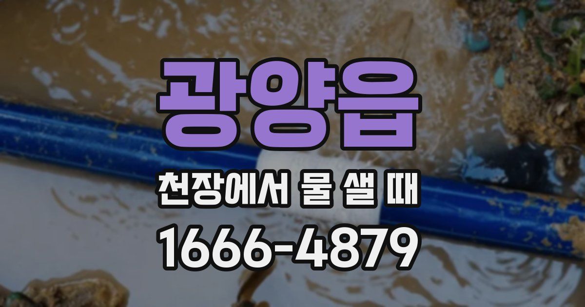 광양읍 천장에서 물 샐 때