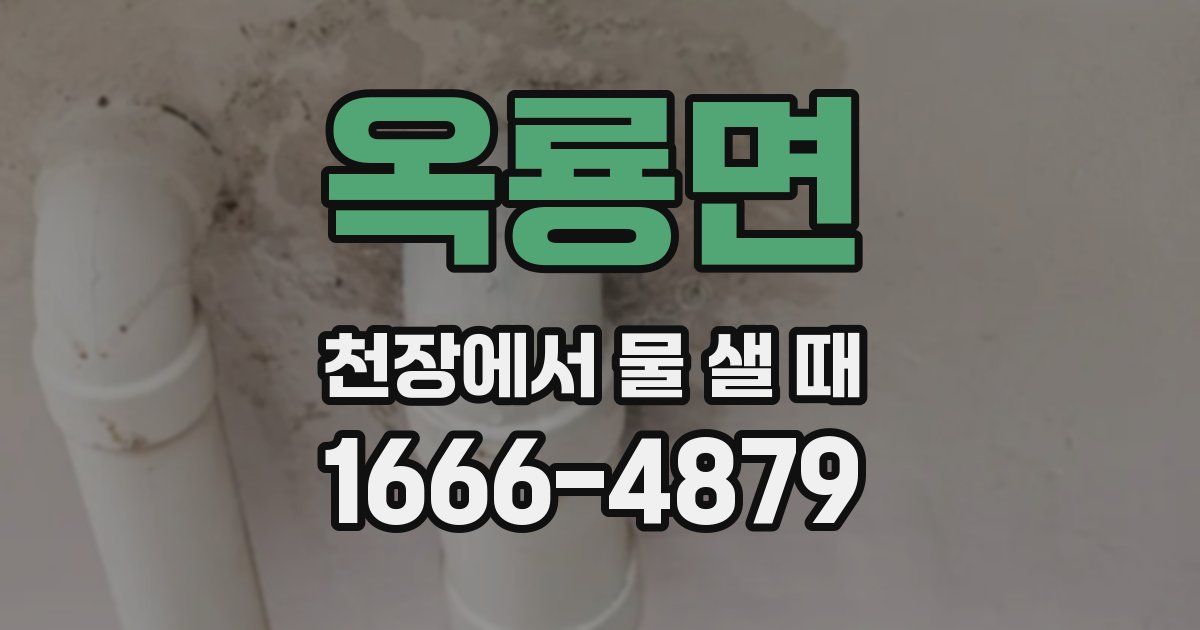 옥룡면 천장에서 물 샐 때