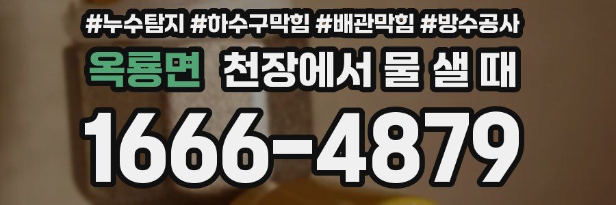 옥룡면 천장에서 물 샐 때