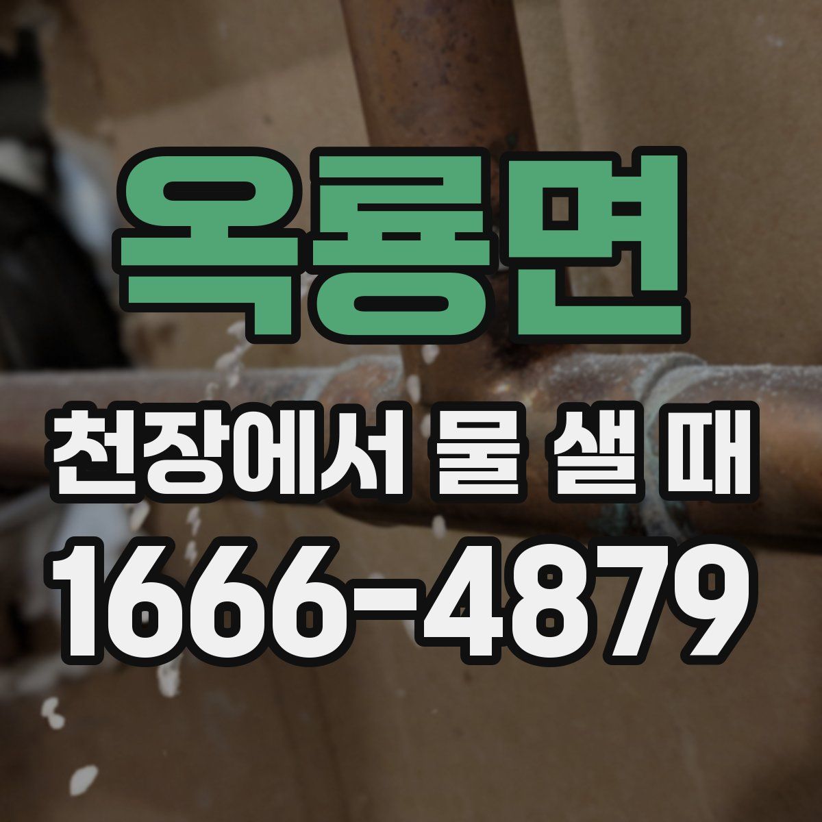 옥룡면 천장에서 물 샐 때